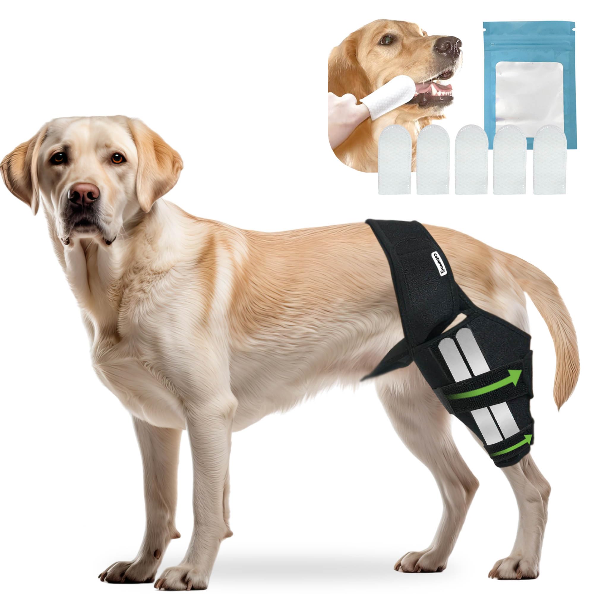 Rodillera Ortopédica para Perros