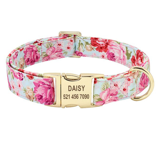 Set collar y correa