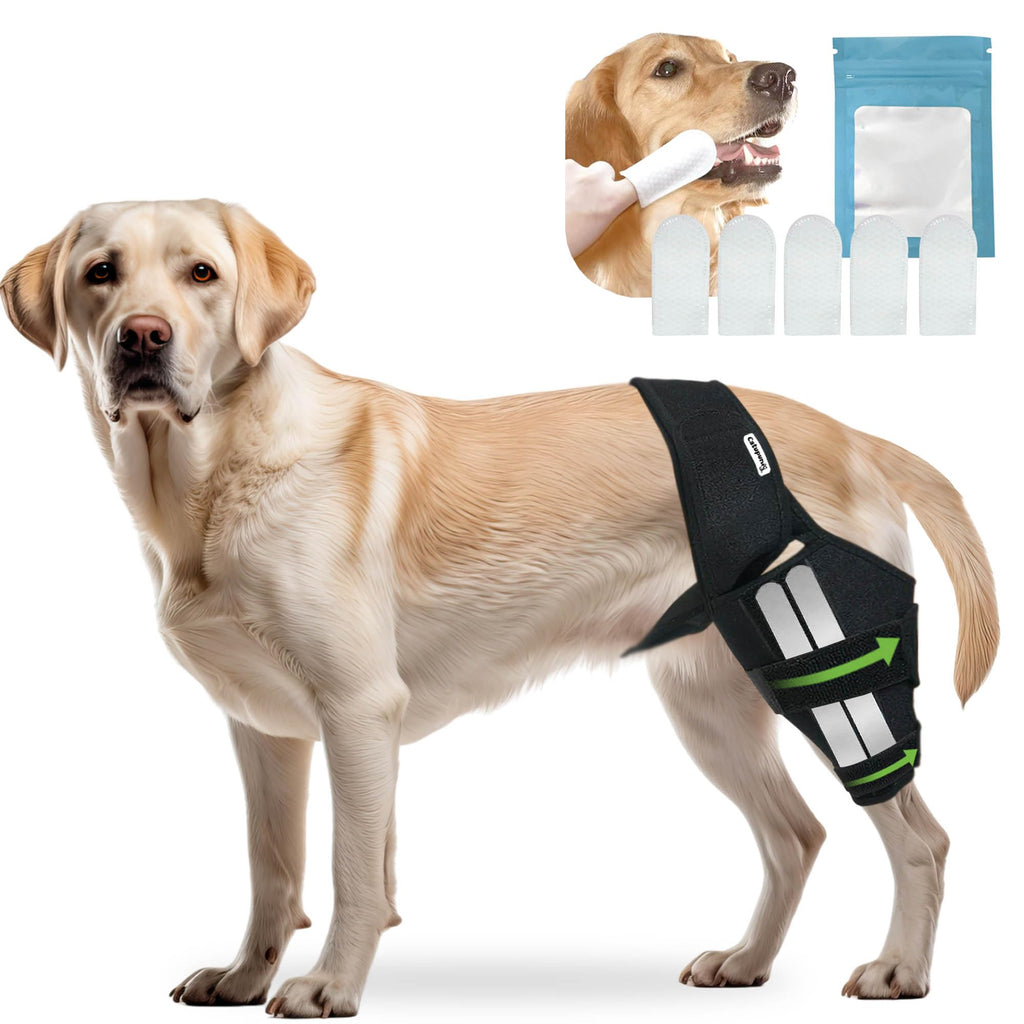 Rodillera Ortopédica para Perros