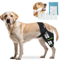 Rodillera Ortopédica para Perros